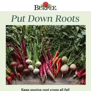 We All Root for Roots!