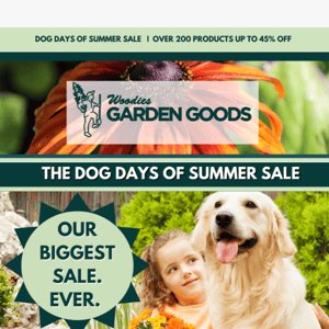 The Dog Days of Summer SALE🌞😎 you don't want to miss these fire hot deals!