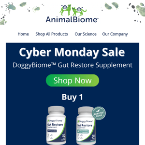 Cyber Monday - Buy 1 Get 1 50% OFF Gut Restore Supplement