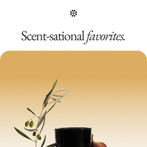 Scent-sational favorites.