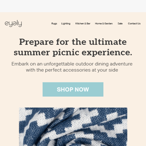 Shop Now for Your Ultimate Summer Picnic Essentials! 🧺