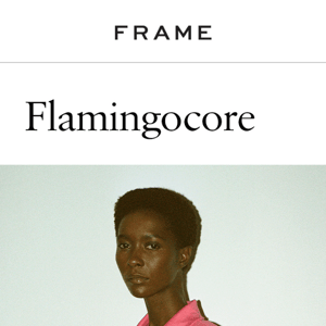 New Drop: Flamingo Is The New Pink