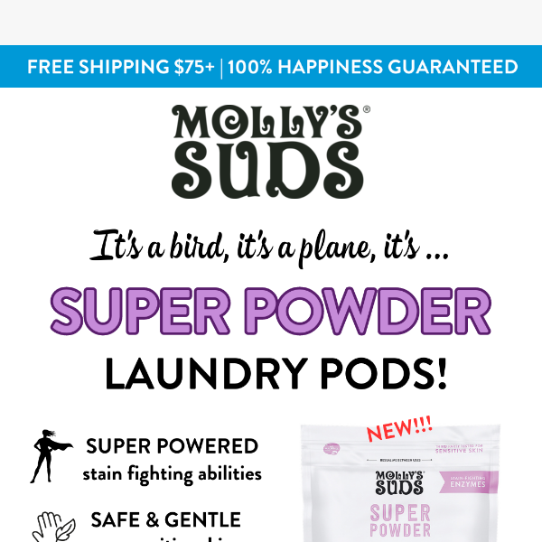 Molly's Suds Unscented Stain Spray Stain Remover, 16 fl oz - City Market