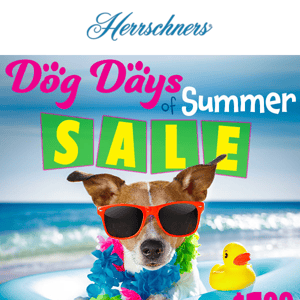 🐶 $1.99 Needlework Projects? It's the Dog Days of Summer...