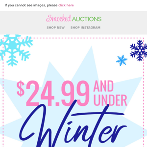 $24.99 & Under Winter Flash Sale!