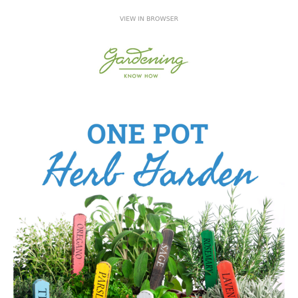 Grow A Whole Herb Garden In One Pot 🌿