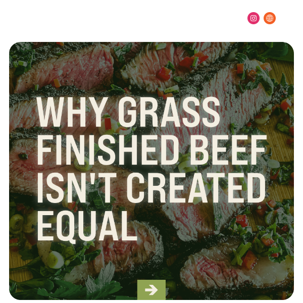 Why Grass Finished Beef Isn't Created Equal🌱