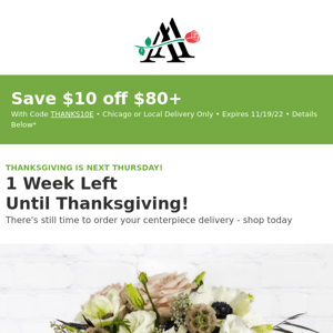 Don't Wait - Save $10 on Your Thanksgiving Centerpiece 🍂🦃🍁