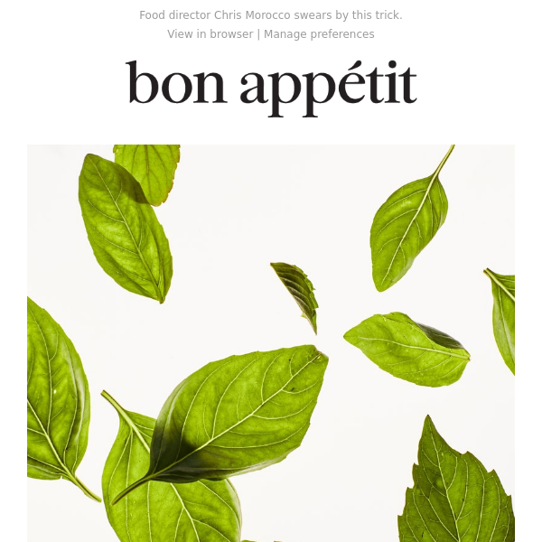 The Best Way to Store Basil Bon Appetit