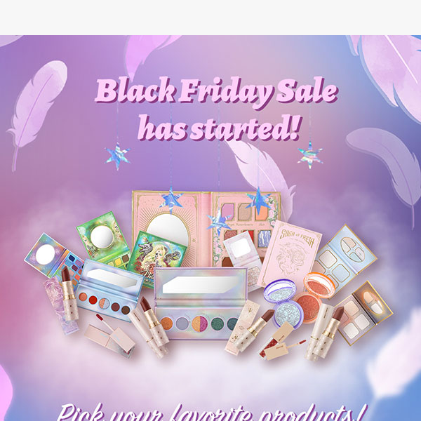 Black Friday Sale has started!