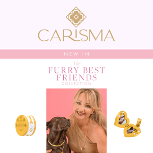 The✨NEW✨ Furry Best Friend Collection 🐾