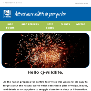 Be Wildlife Aware this Bonfire Night 🔥