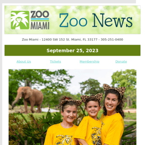 ZOO NEWS: The Countdown to the ZooRun is On!