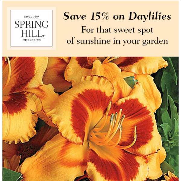 Blooms for daaays...Save 15% on Daylilies