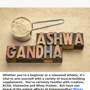 🌿 ASHWAGANDHA: A Secret Weapon For Your Supplement Arsenal