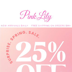 surprise! 25% off SITEWIDE until 1 PM CST