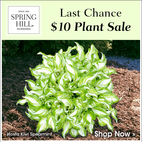 Just hours left on our $10 Plant Sale