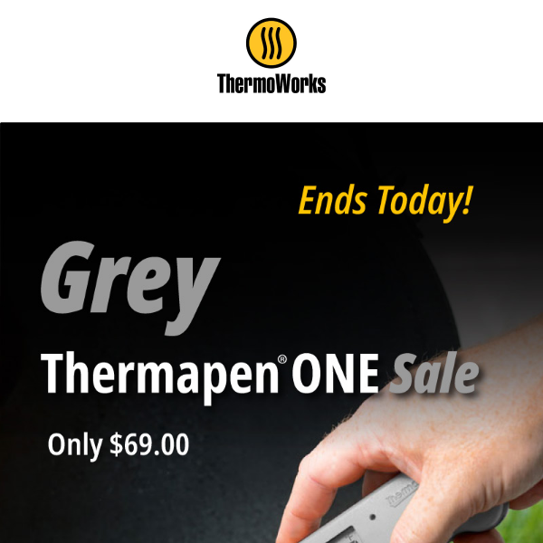 ThermoWorks Thermapen One - Grey