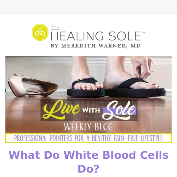 What Do White Blood Cells Do?