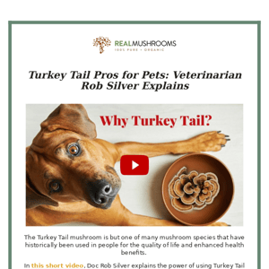 why choose turkey tail for your pet