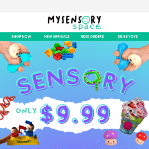 $9.99 Sensory Extravaganza 🤯