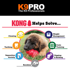 KONG - Hours of fun for your dog!