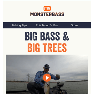 Where Do Big Summer Bass Go?