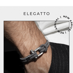 Elevate Your Wristgame: The NEW Alchor Platinum Brushed