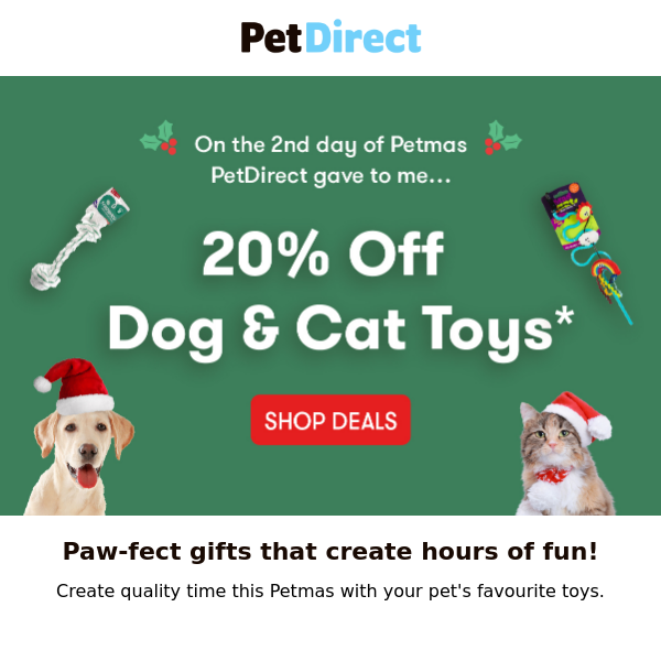 20% Off Dog & Cat Toys* | Day 2 Of Petmas 🎄