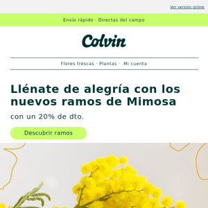 -20% para dar la bienvenida a la Mimosa💛