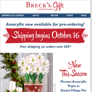 Don’t miss free amaryllis shipping!