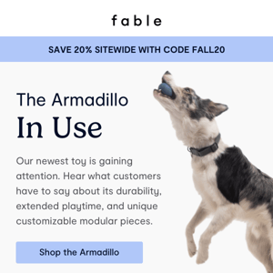 TRENDING: The Armadillo