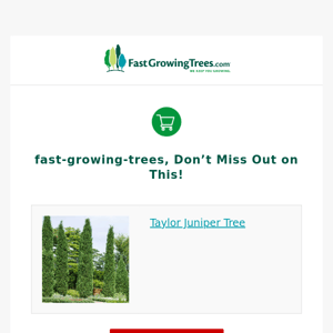 We Saved This 🌳 For You Fast Growing Trees!