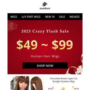 All Wigs $49~$99 Today!