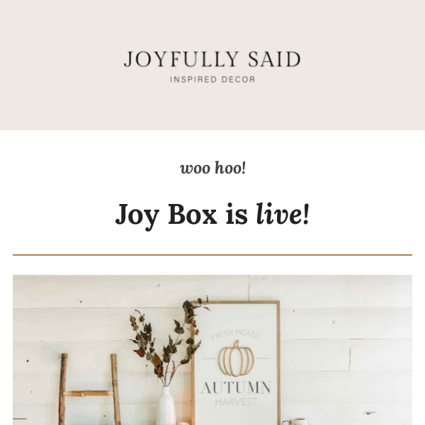 Joy Box is LIVE! Snag it before it sells out ⏰