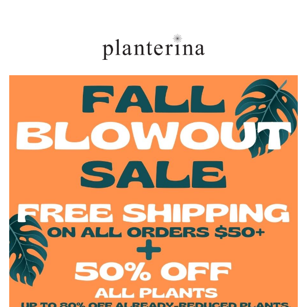 Massive Fall Sale at Planterina: Up to 80% Off + Free Shipping! 🌿