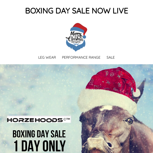 🧧🎁BOXING DAY SALE NOW LIVE - 24 HOURS ONLY