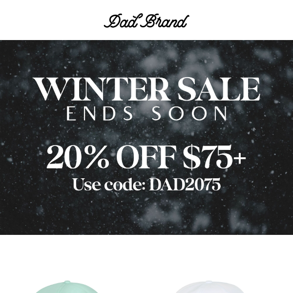 ❄️ Winter Sale Ends Soon 🚨