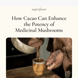 How Cacao Can Enhance the Potency of Medicinal Mushrooms