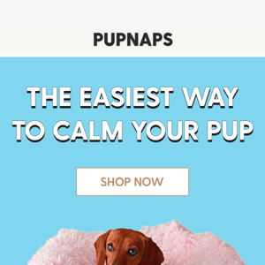 Do this for a calm, happy pup