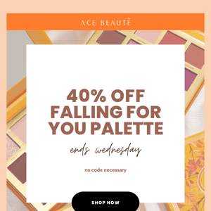 40% off Falling for You Palette - NOW!