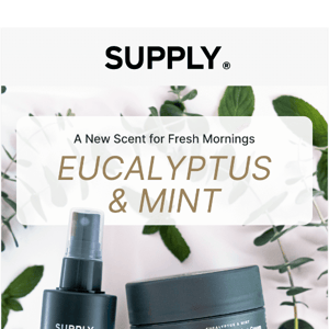 JUST IN: Eucalyptus & Mint Scent