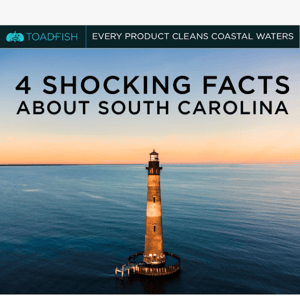 Get the Lowdown on Lowcountry! 🤯