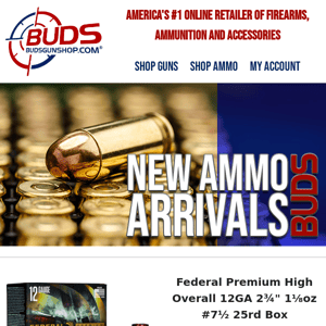 Close out Your January with These Amazing Ammo Deals!