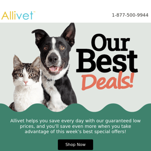 🐕 🐈 Shop Allivet’s Best Deals on the Pet Products!