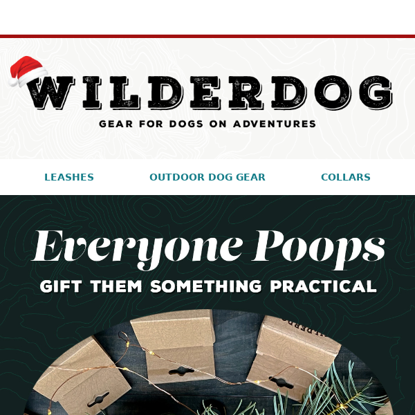 💩 The Perfect Stocking Stuffer: Poop Provisions