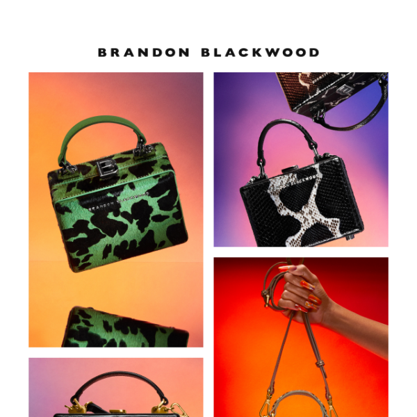 Your favorites are back - Brandon Blackwood