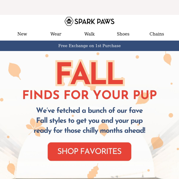 Best Fall Finds for Your Pup 👀