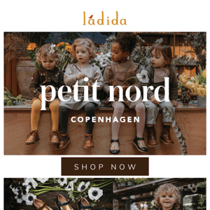 Uniqua Collection Of Petit Nord Is Here🌟