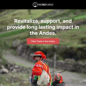 Make a social impact in the Andes 🌲